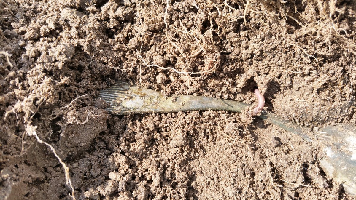 20160415_135440.jpg