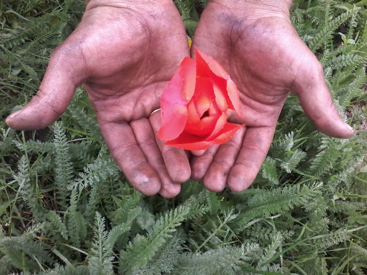 20160420_113023.jpg