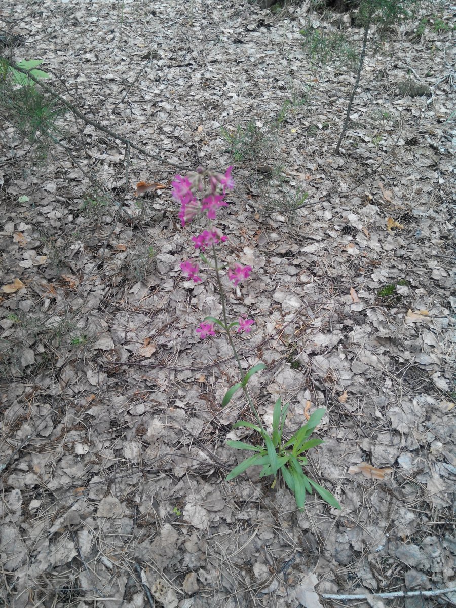 20160528133030.jpg