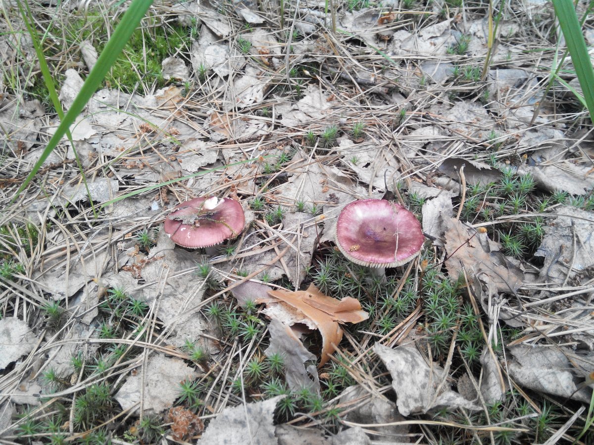 20160528133120.jpg