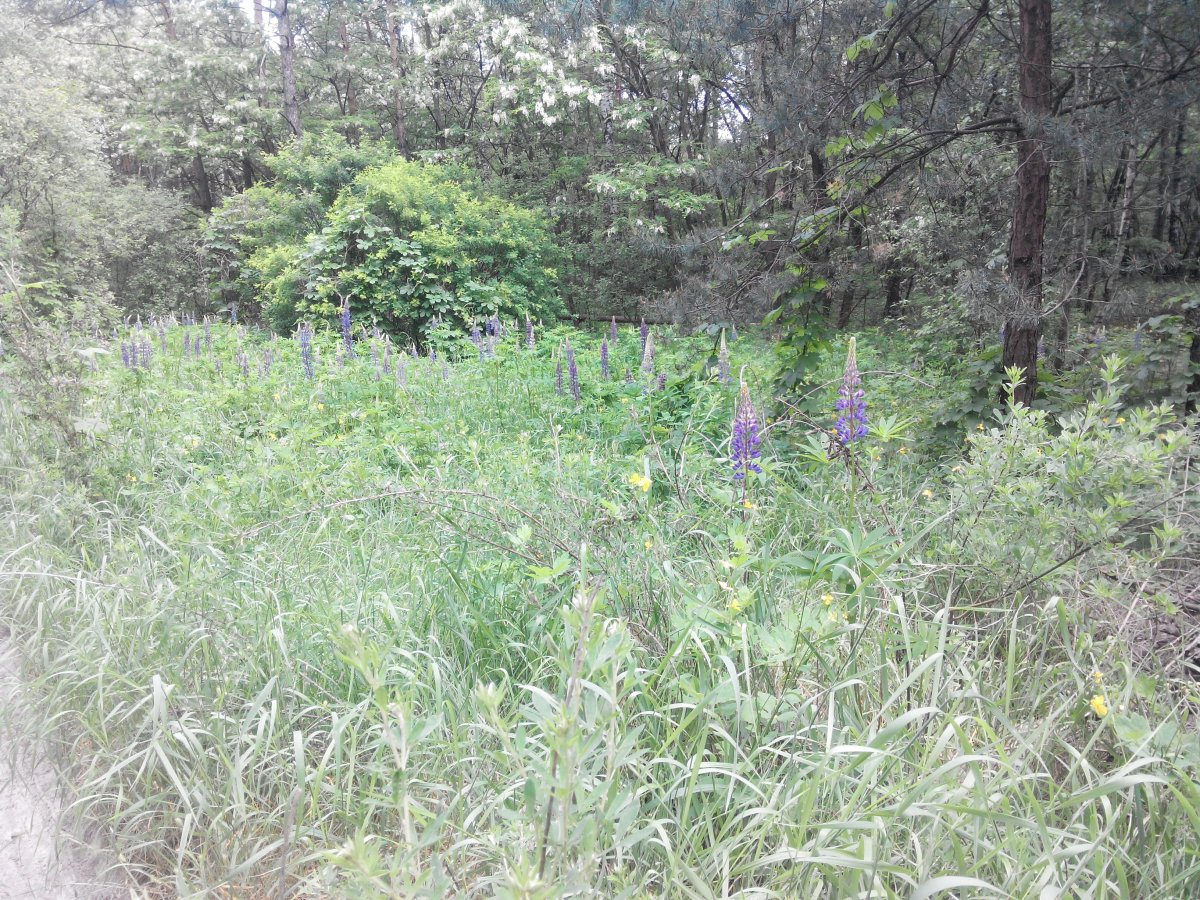 20160528140018.jpg