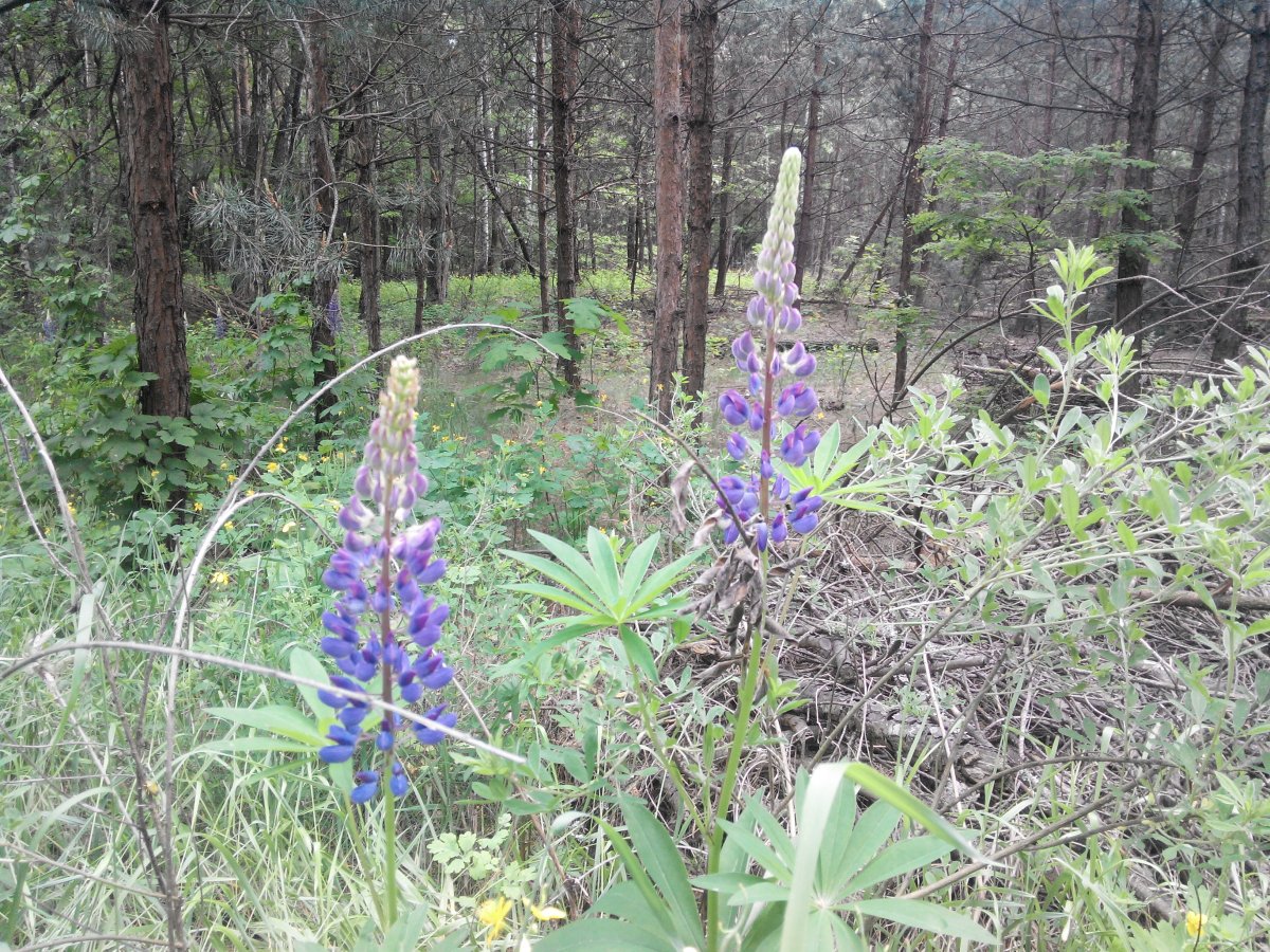20160528140028.jpg