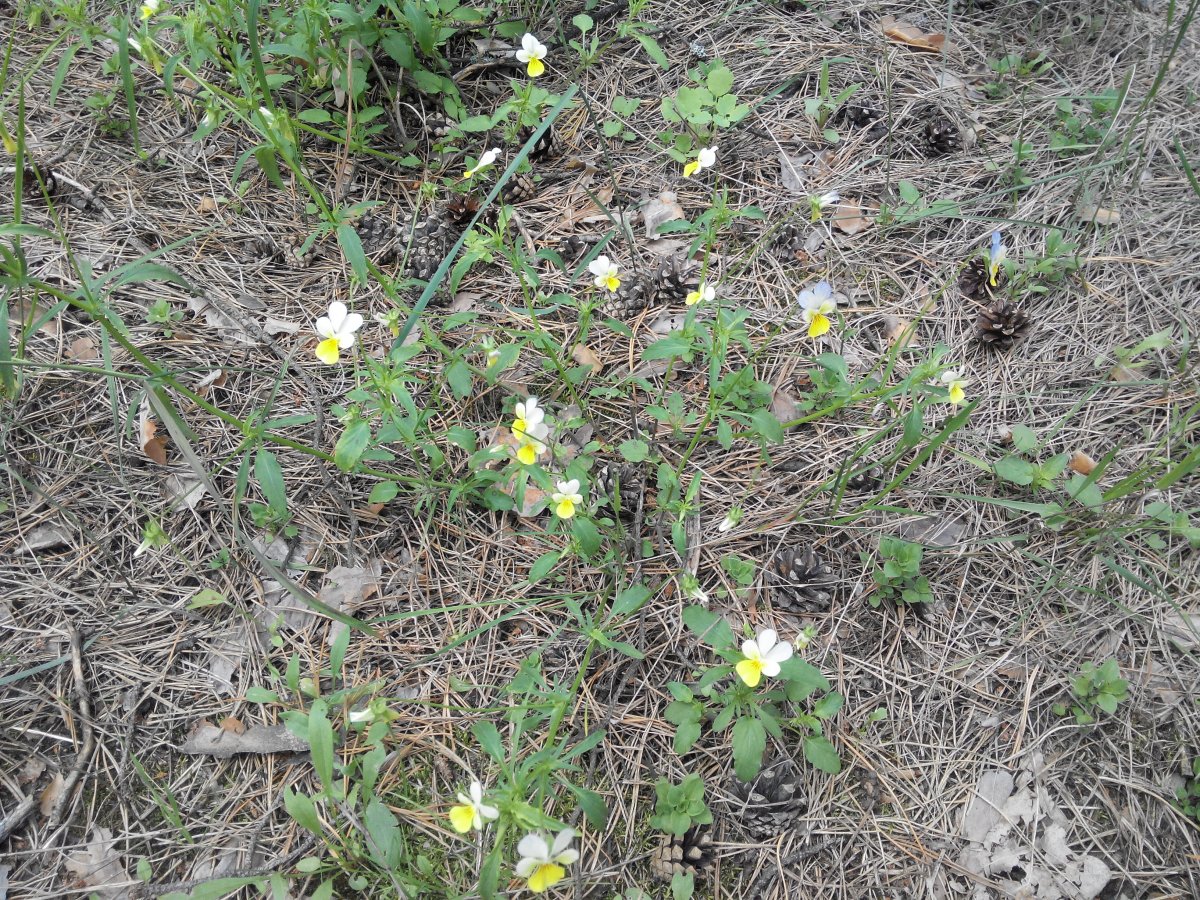 20160528141916.jpg