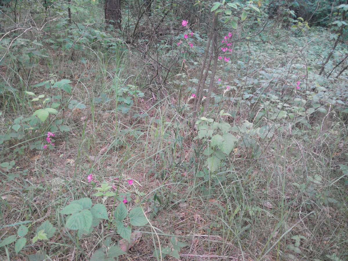 20160528143249.jpg