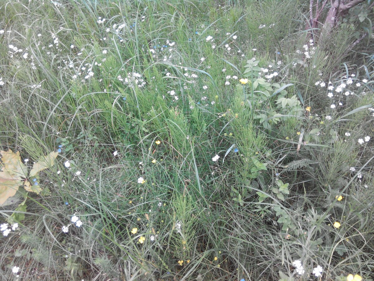 20160528144642.jpg
