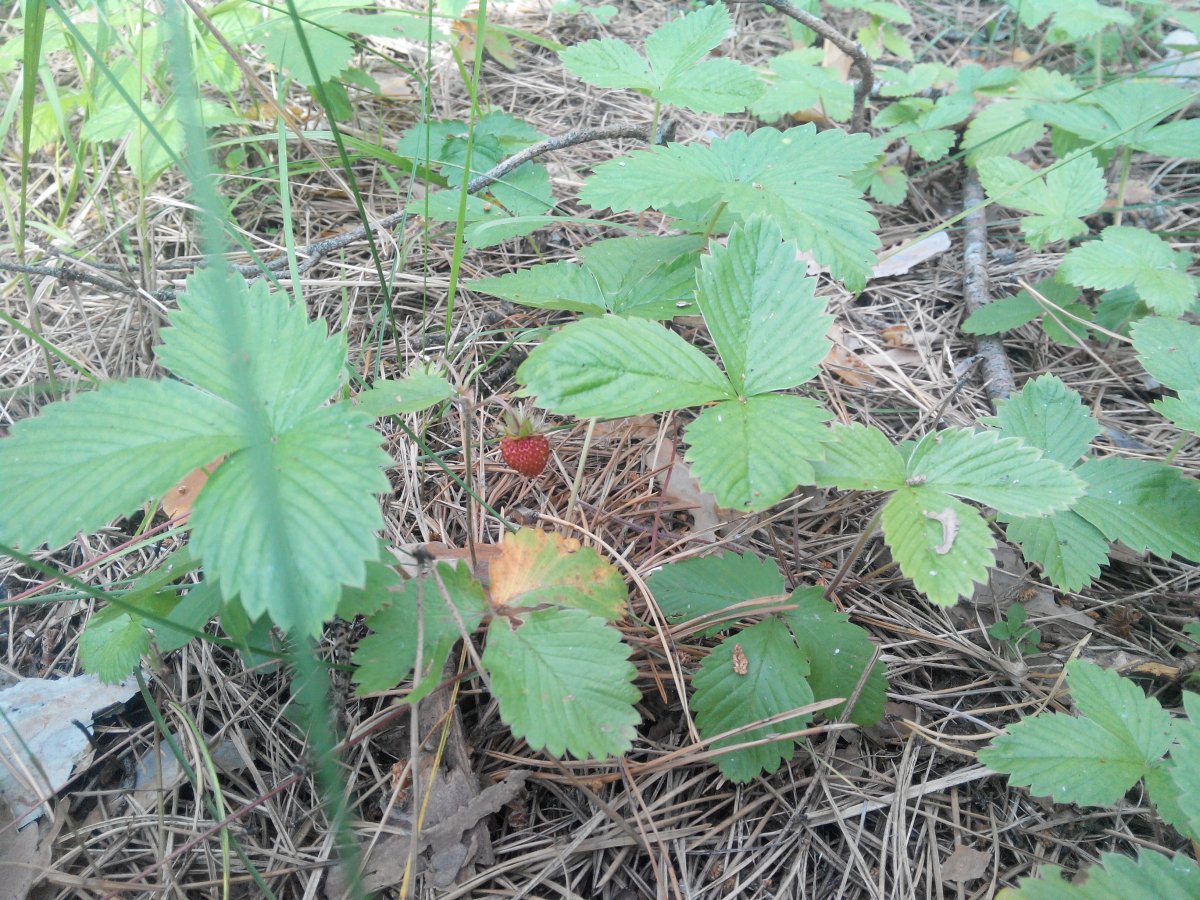 20160607173325.jpg