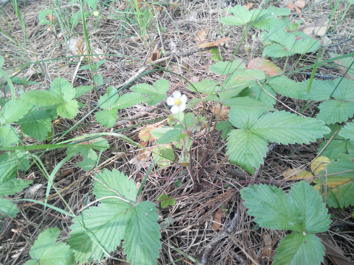 20160607173343.jpg