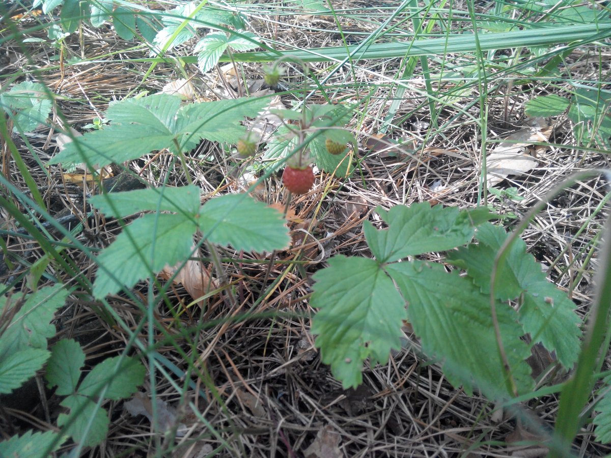 20160607173446.jpg