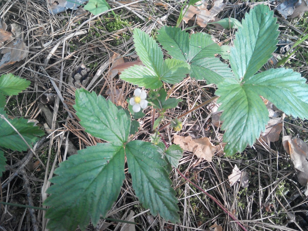 20160607173709.jpg