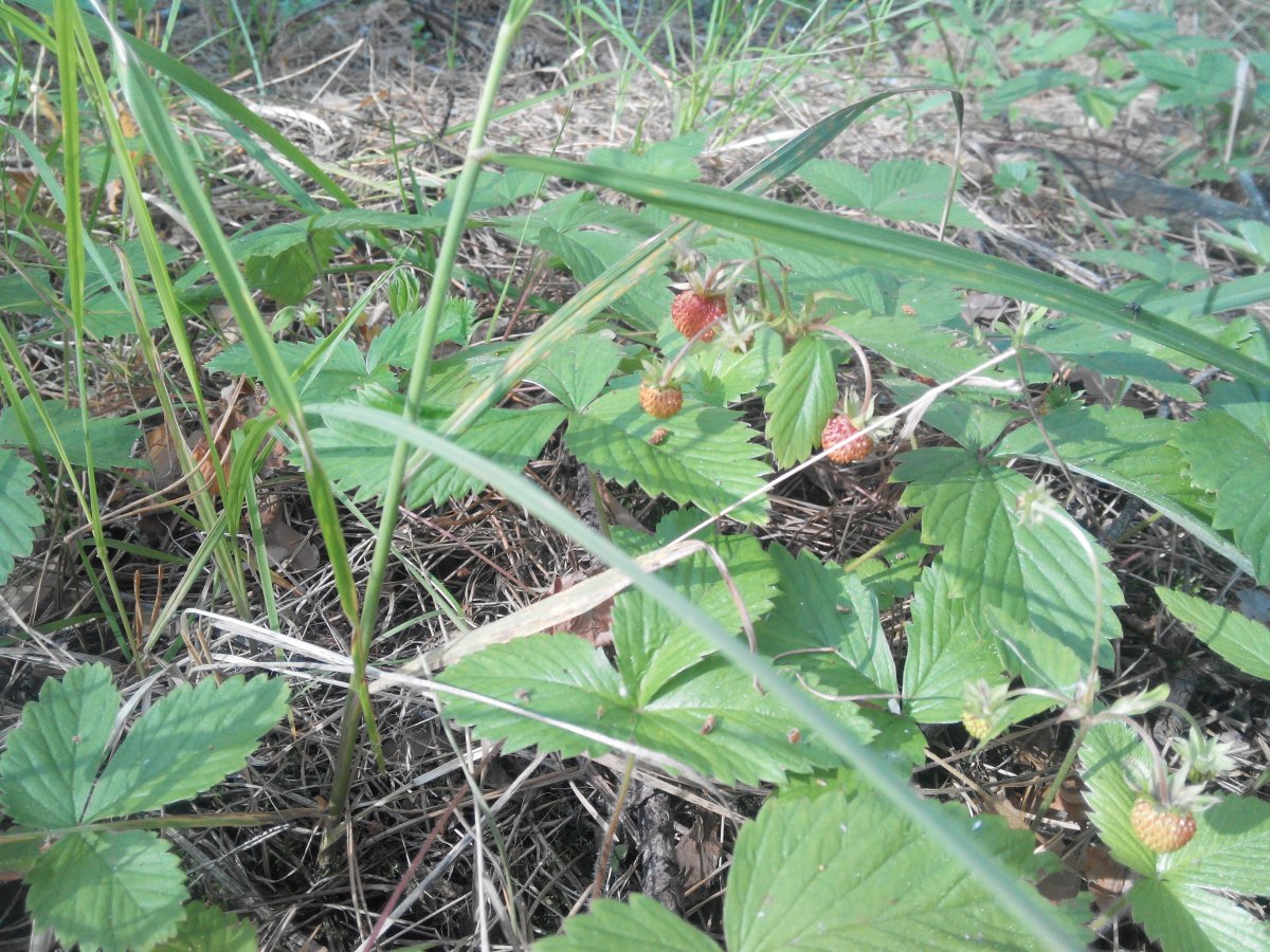 20160607173838.jpg