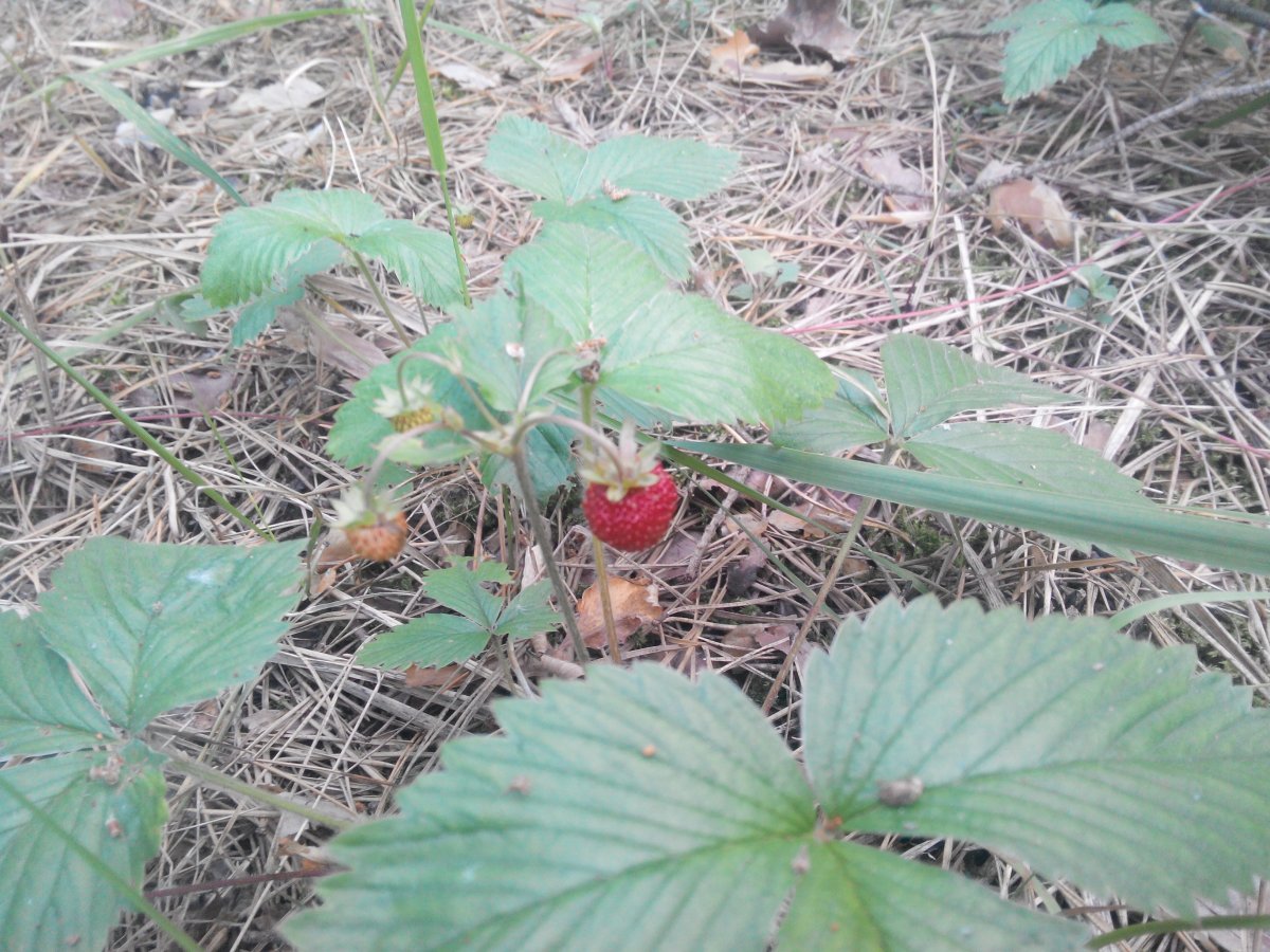 20160607180229.jpg