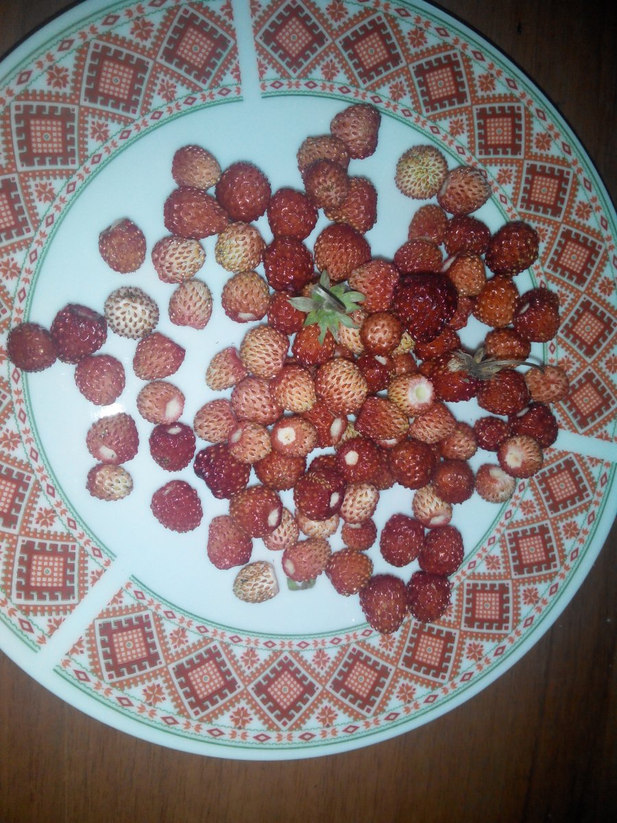 20160607192731.jpg