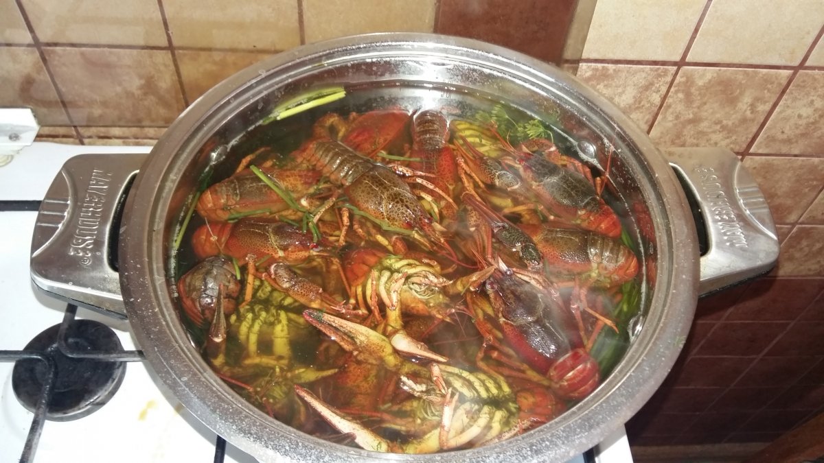 20160705_165149.jpg