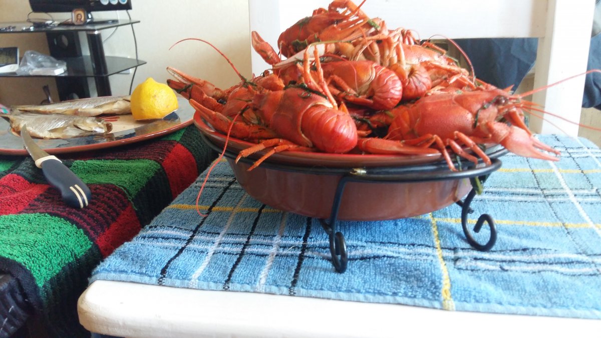 20160705_171138.jpg