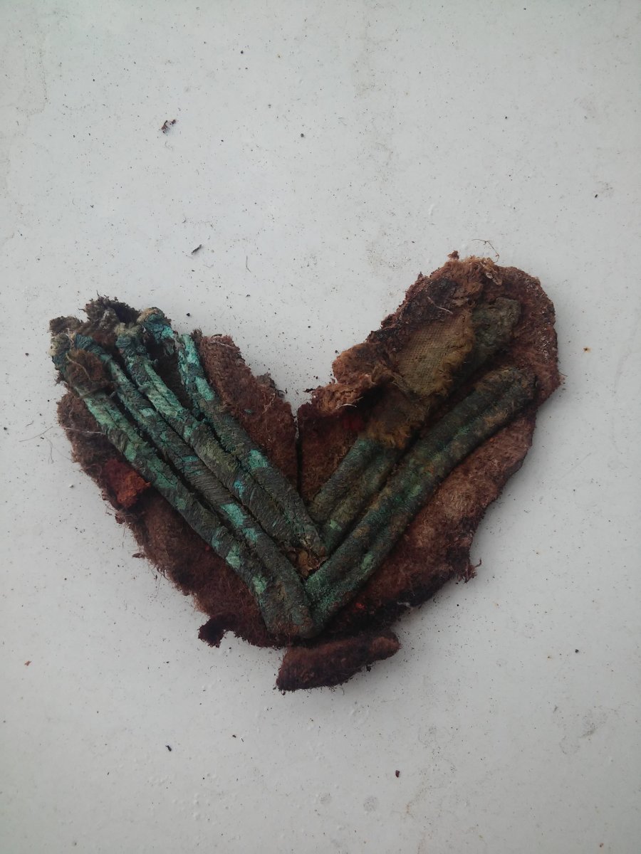 20160824_080247.jpg