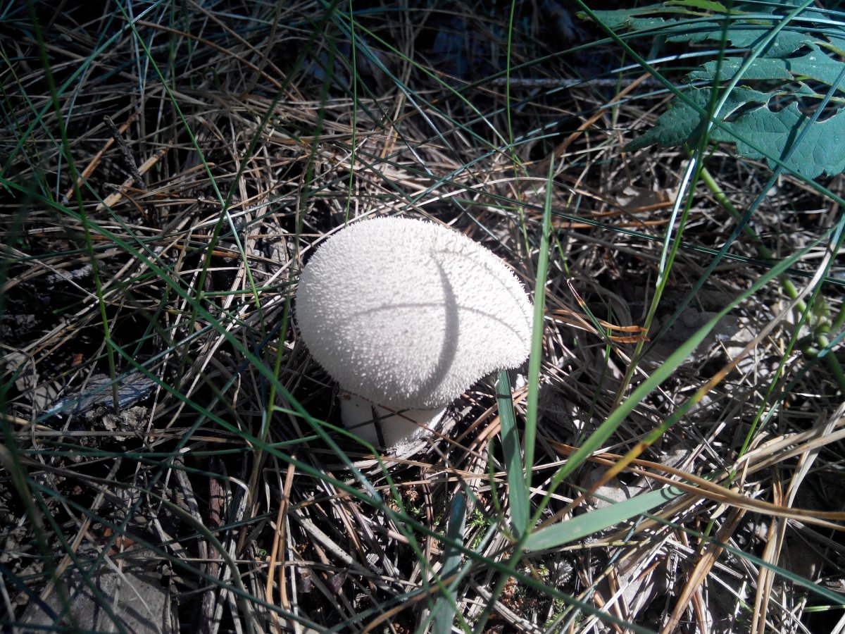 20160827144736.jpg