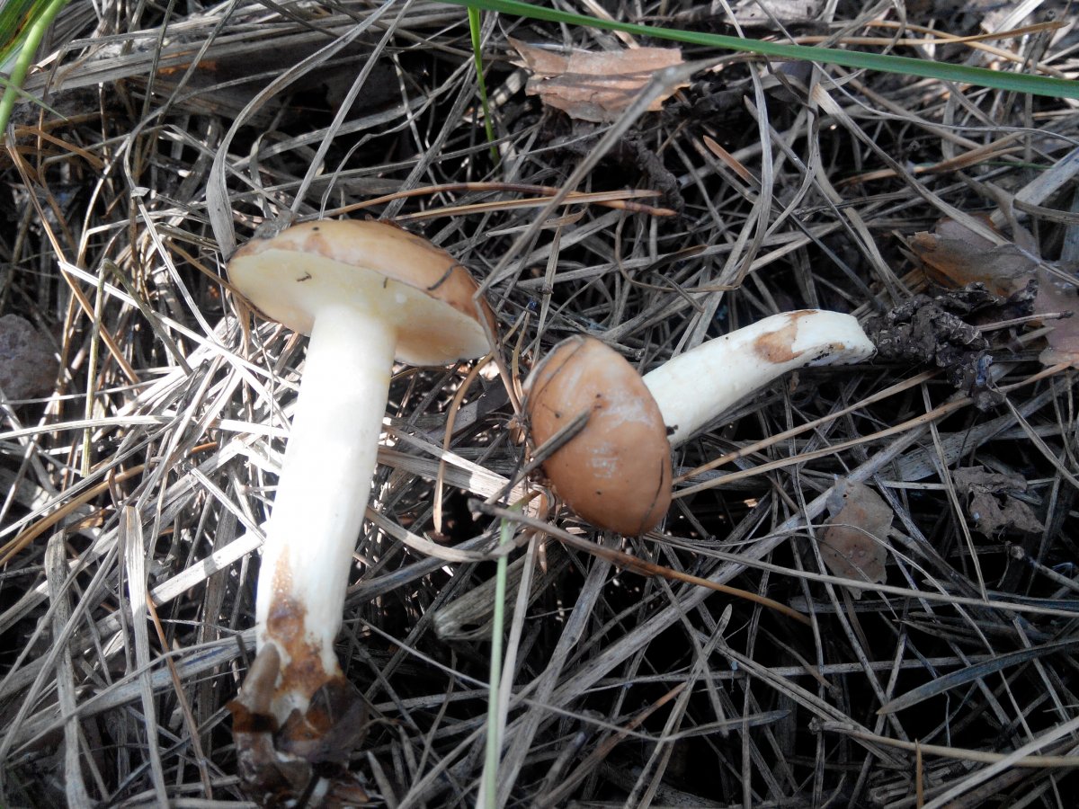 20160827145826.jpg