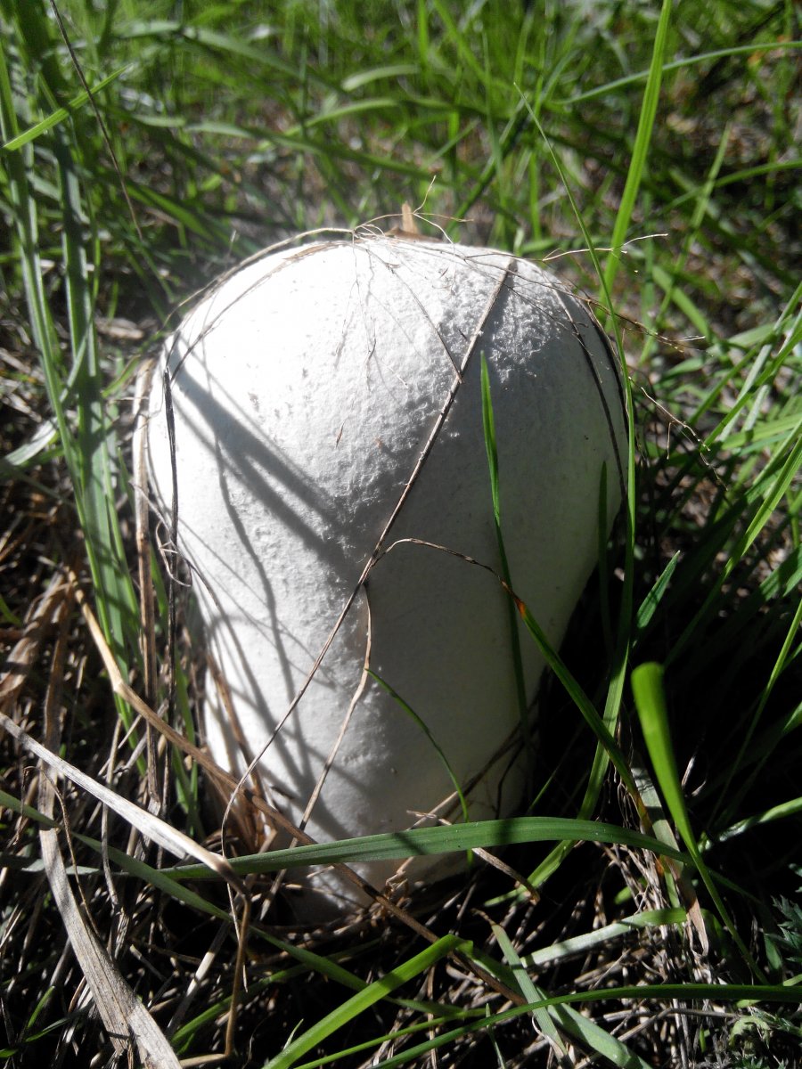 20160827153759.jpg