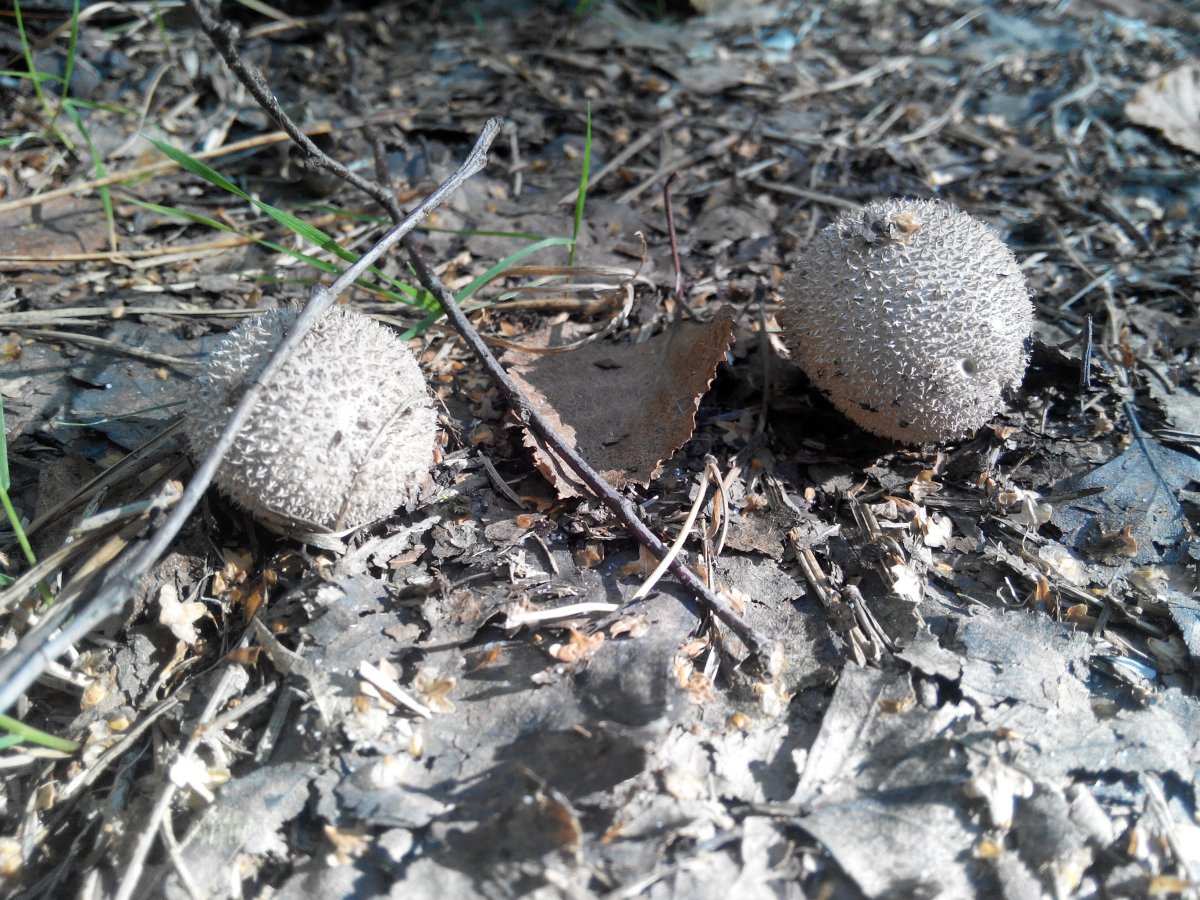 20160827154608.jpg