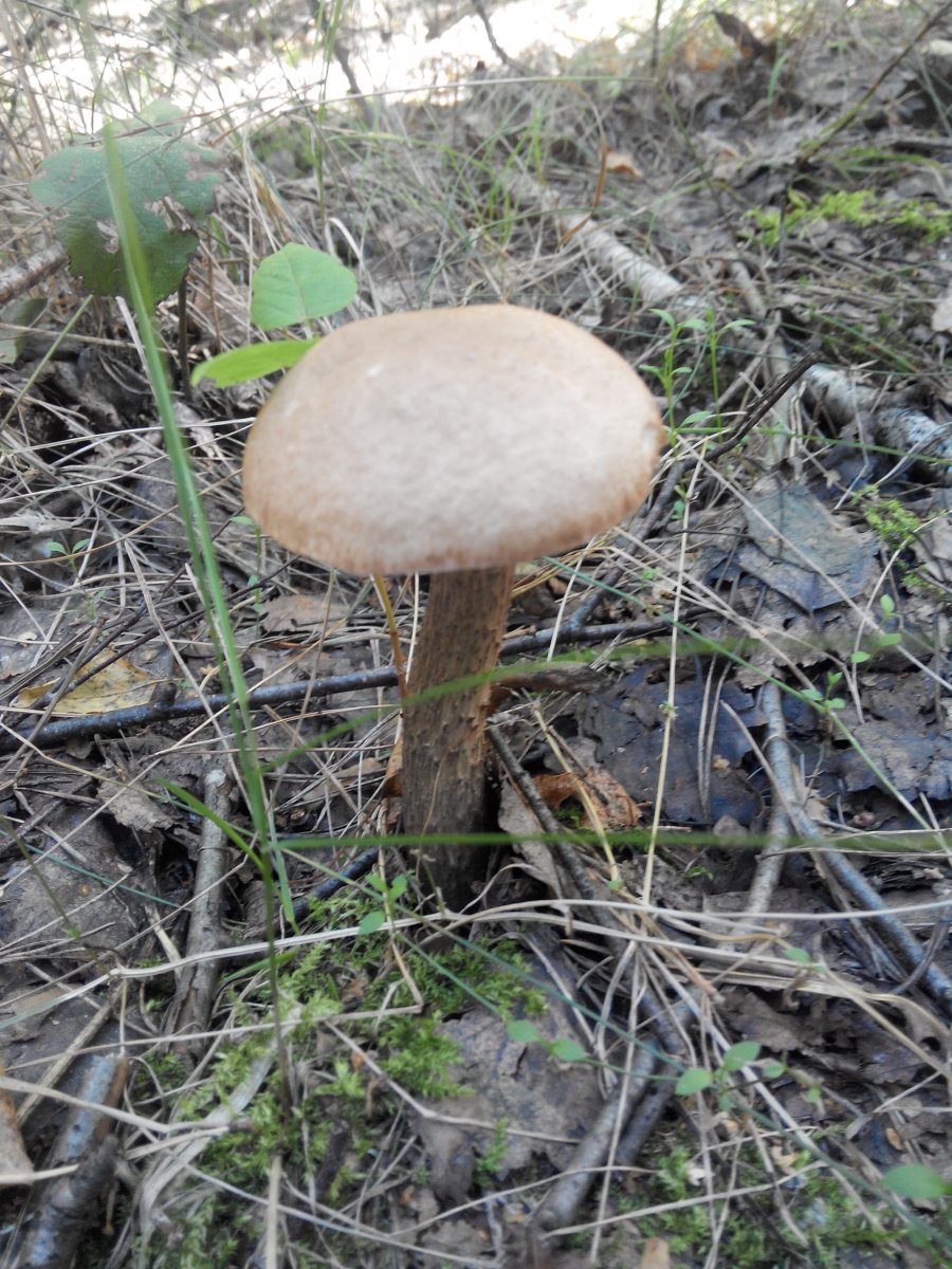 20160827154717.jpg