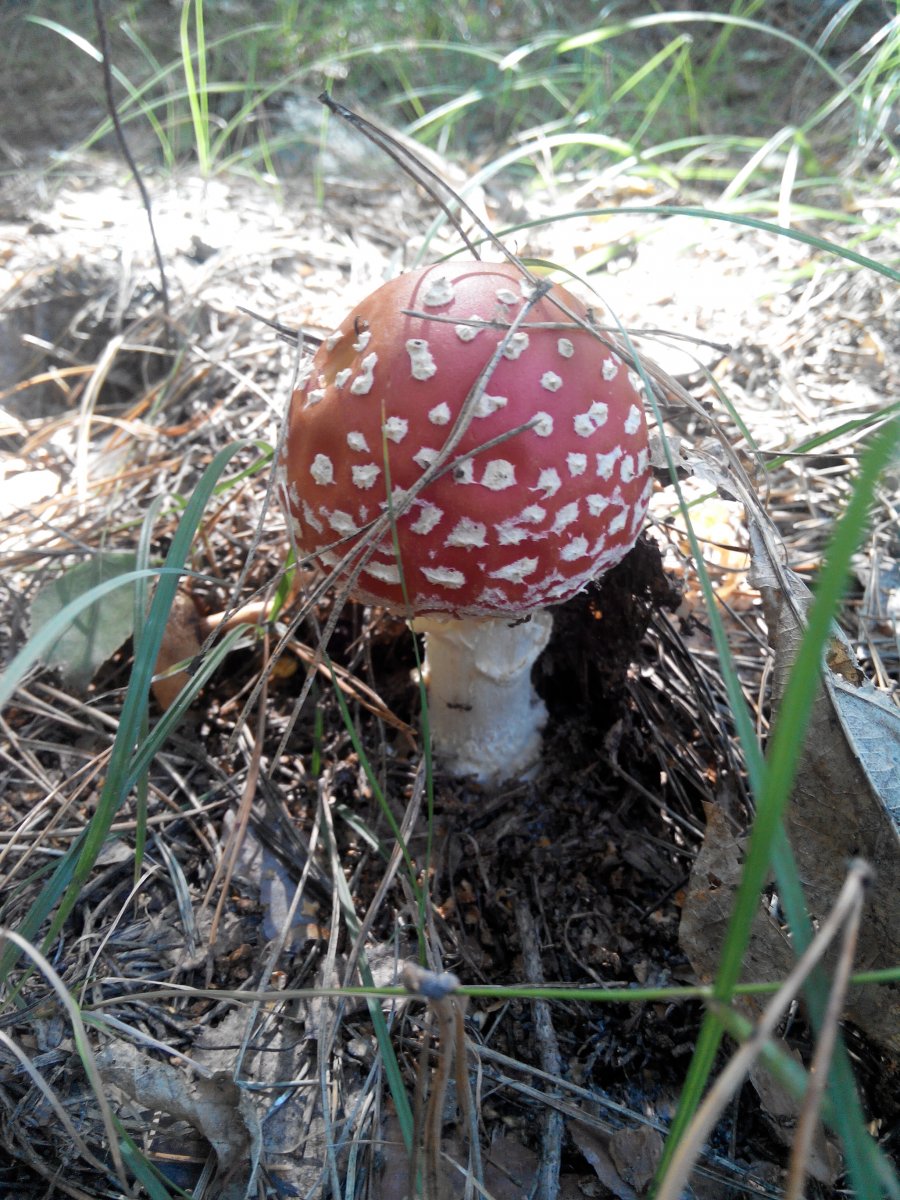 20160827155242.jpg