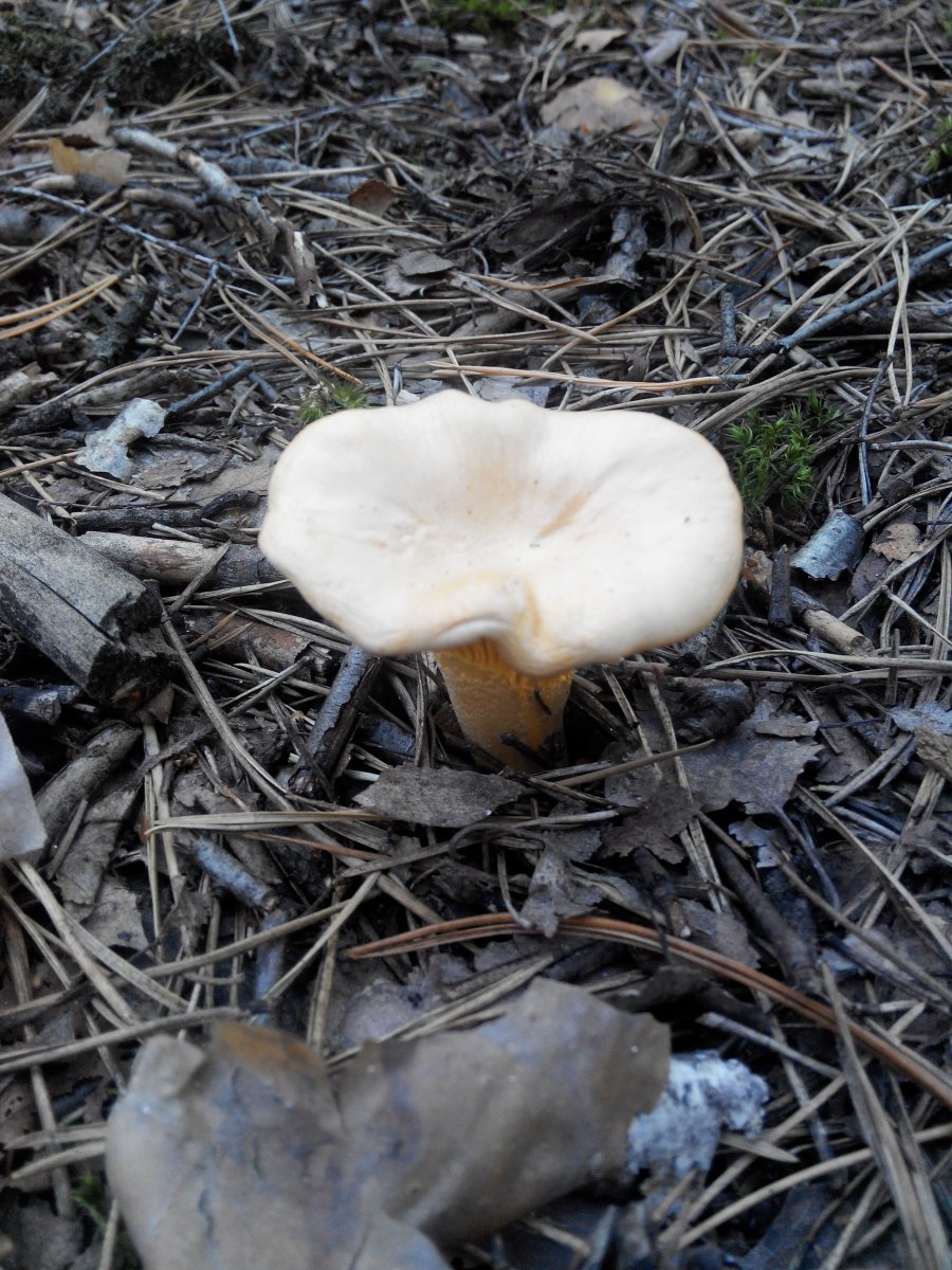 20160827164633.jpg