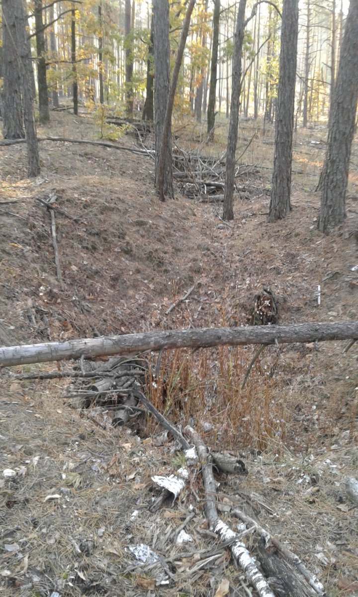 20161002_085305.jpg