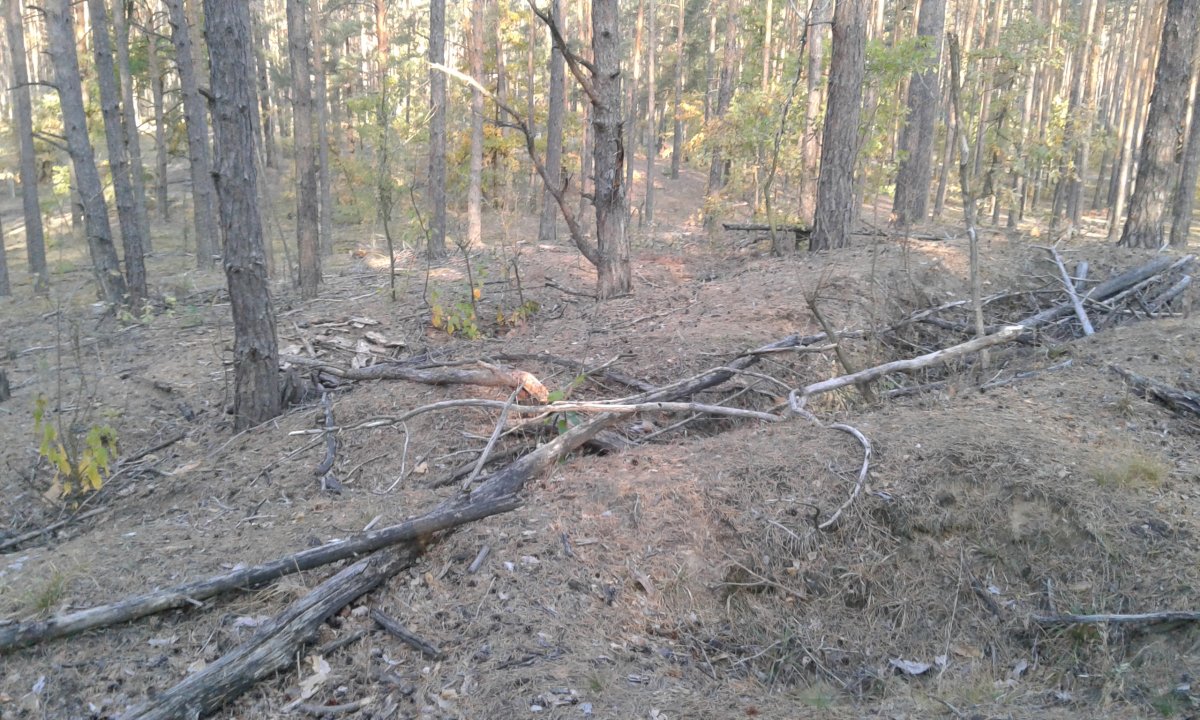 20161002_085319.jpg