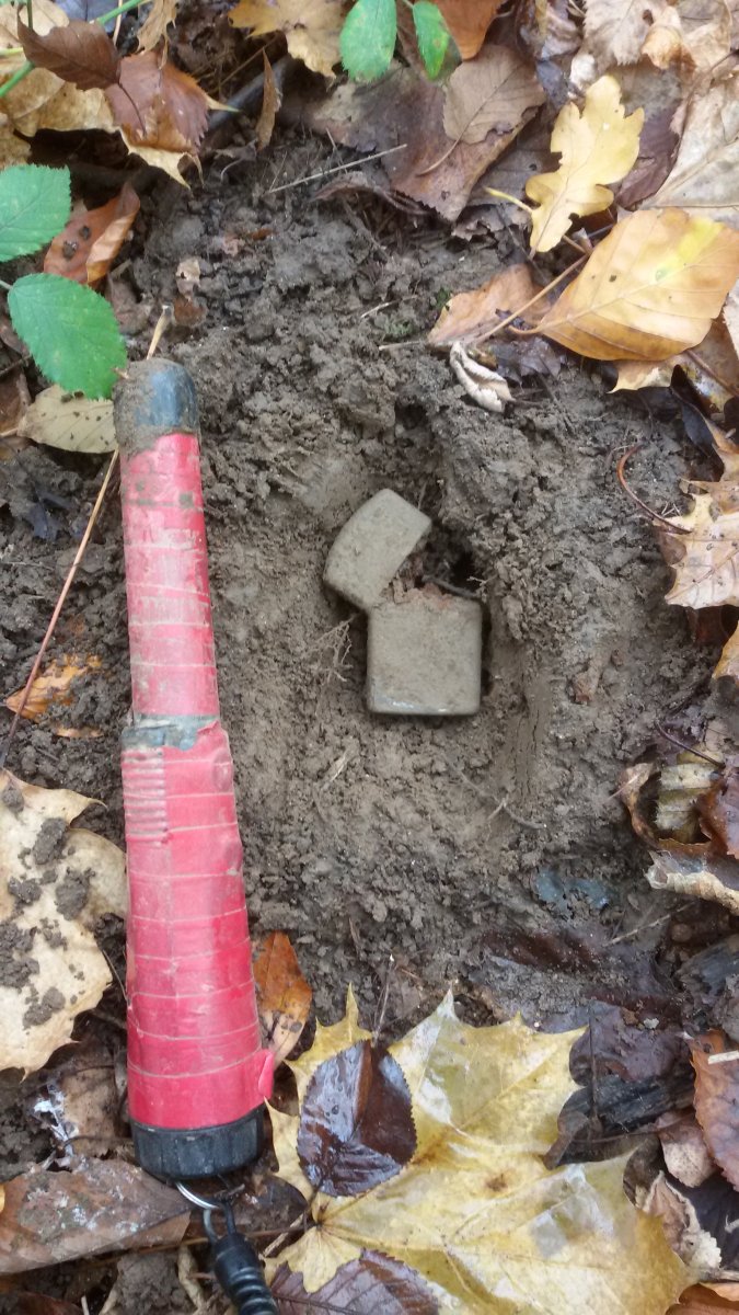 20161113_130104.jpg