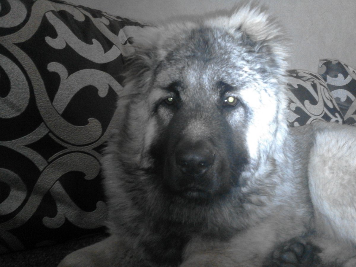 20161201_204331.jpg