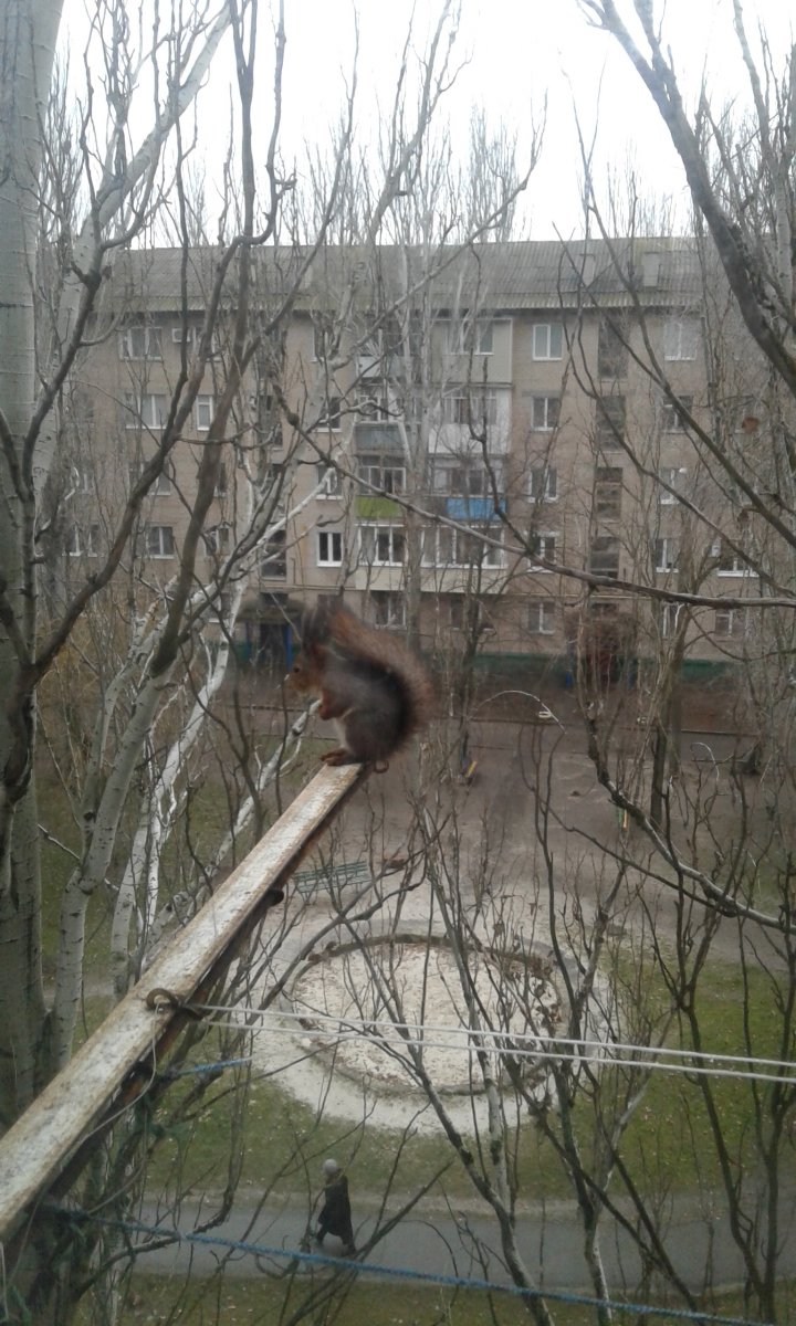 20161211_110427.jpg