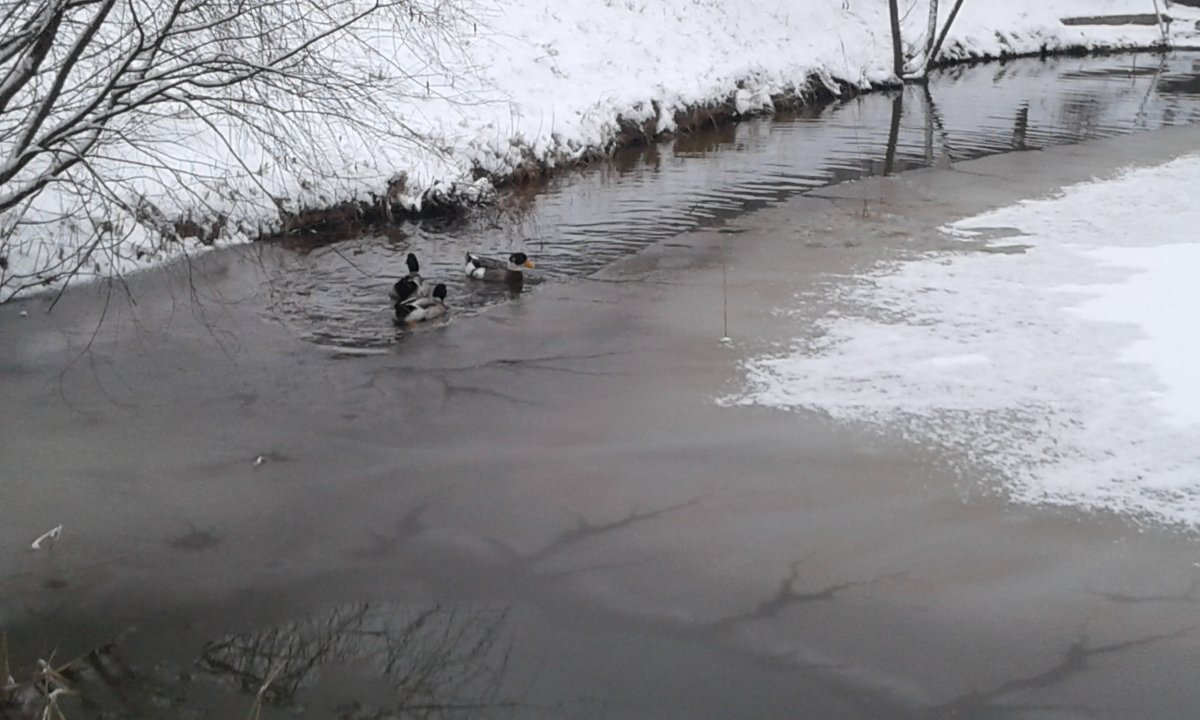 20161217_133142.jpg
