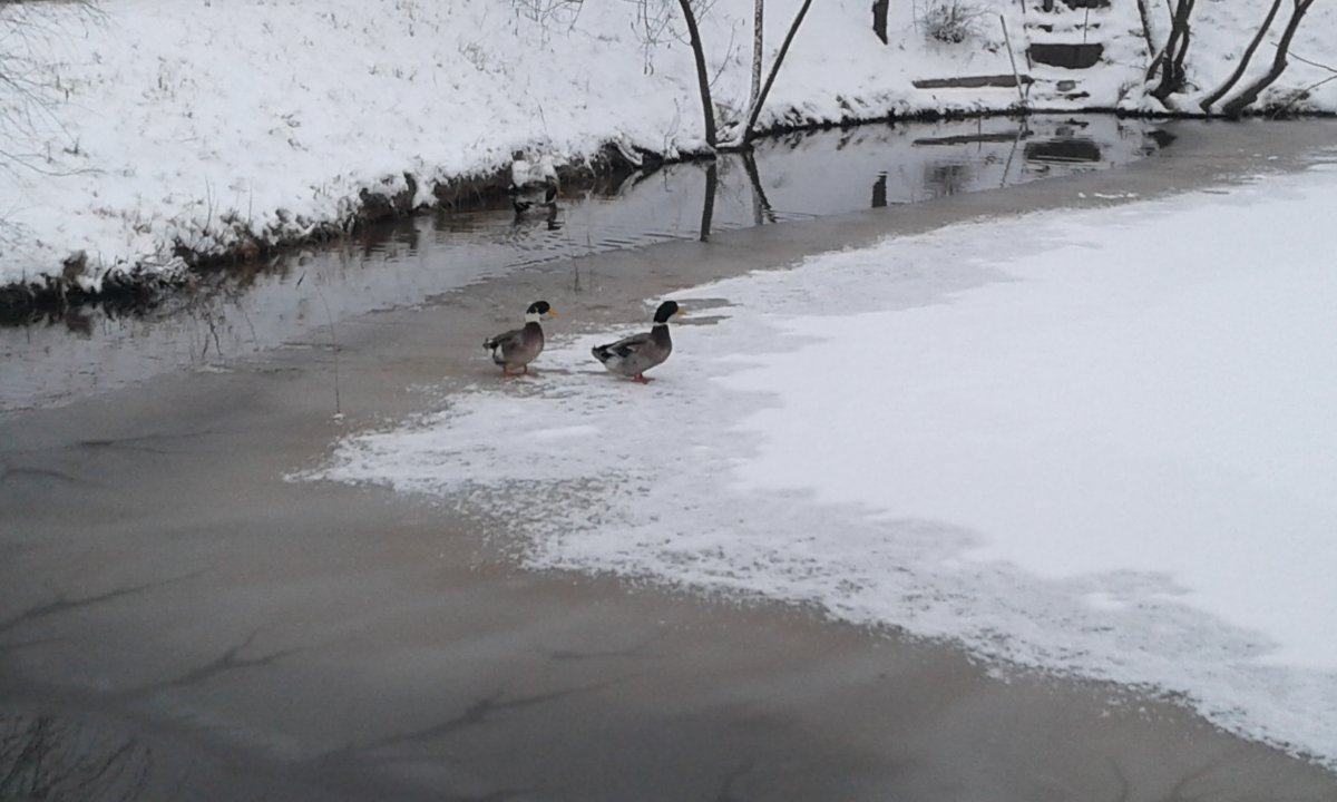 20161217_133423.jpg