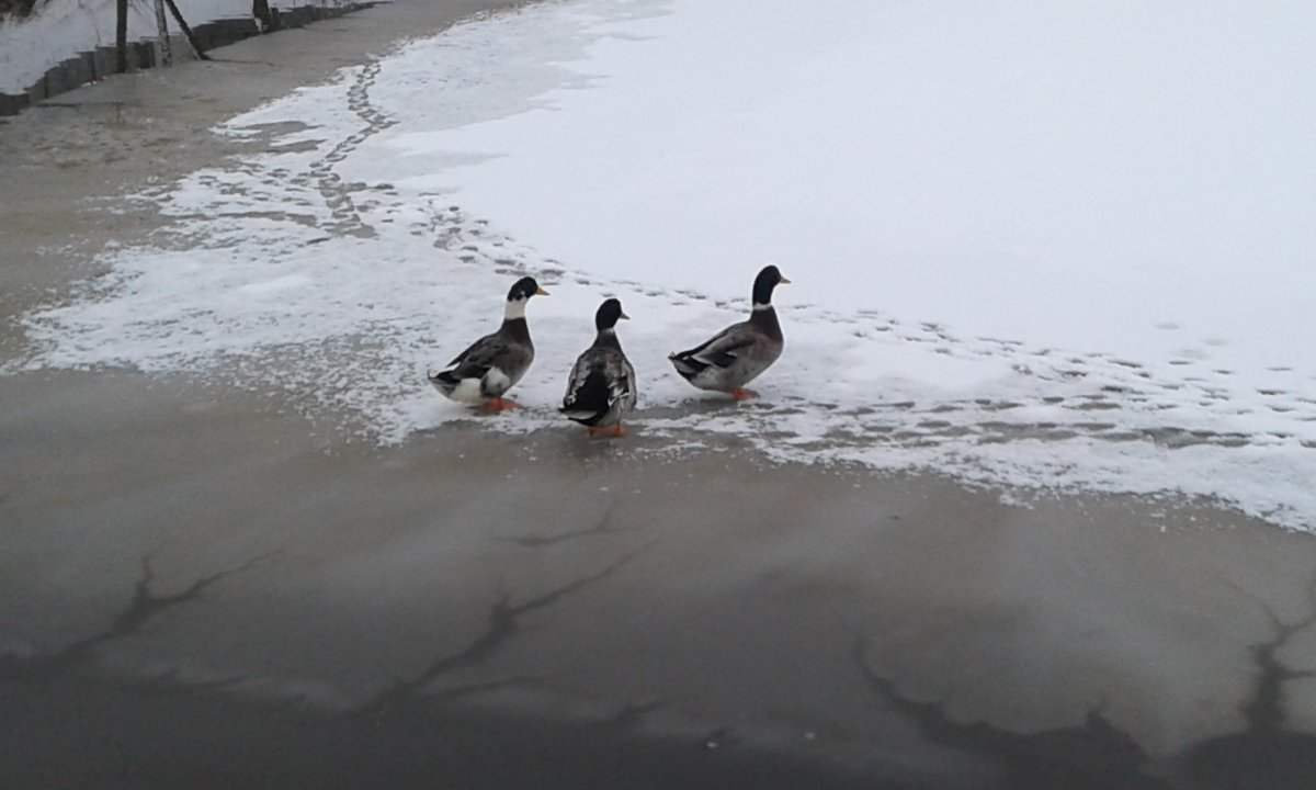 20161217_135546.jpg