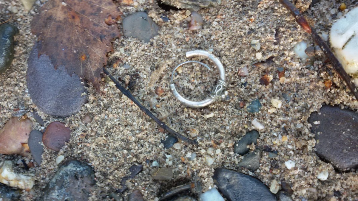 20170205_094536.jpg
