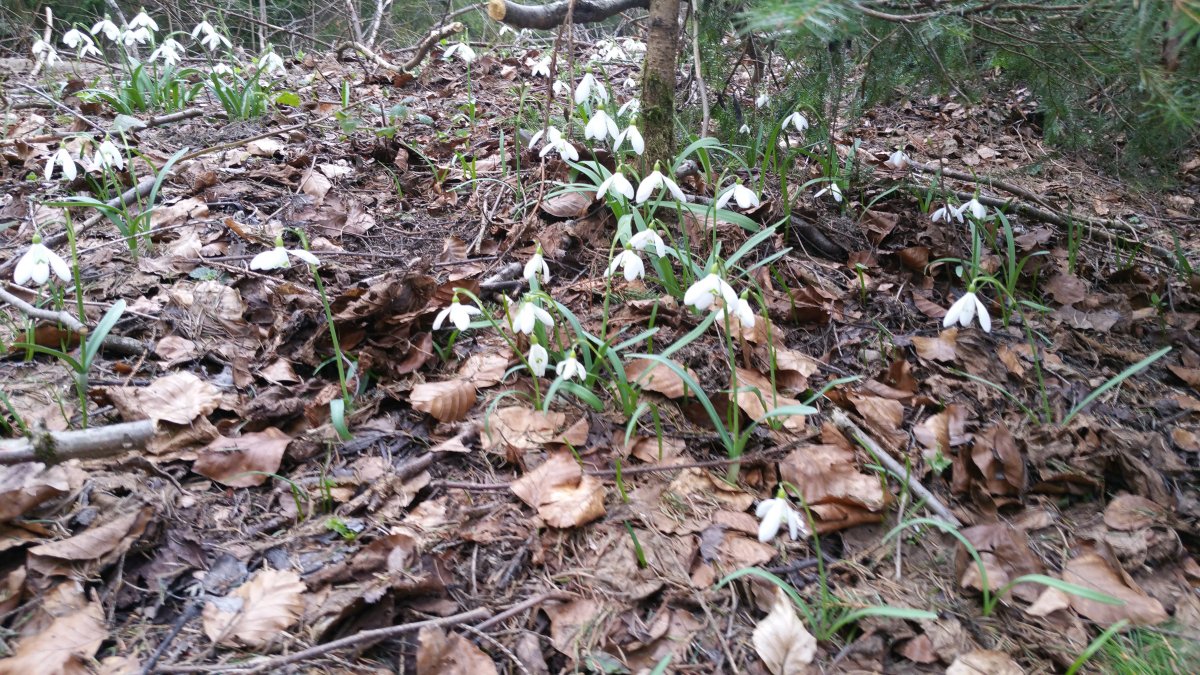 20170329_160851.jpg