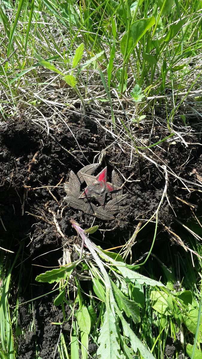 20170513_124307.jpg