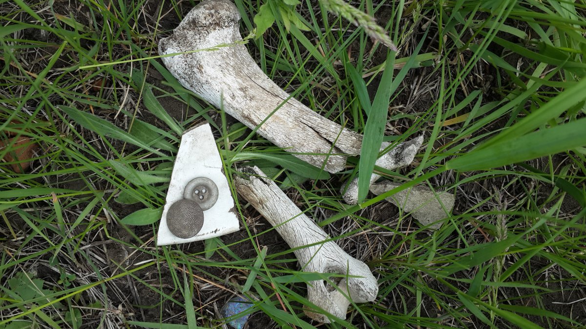 20170513_143856.jpg