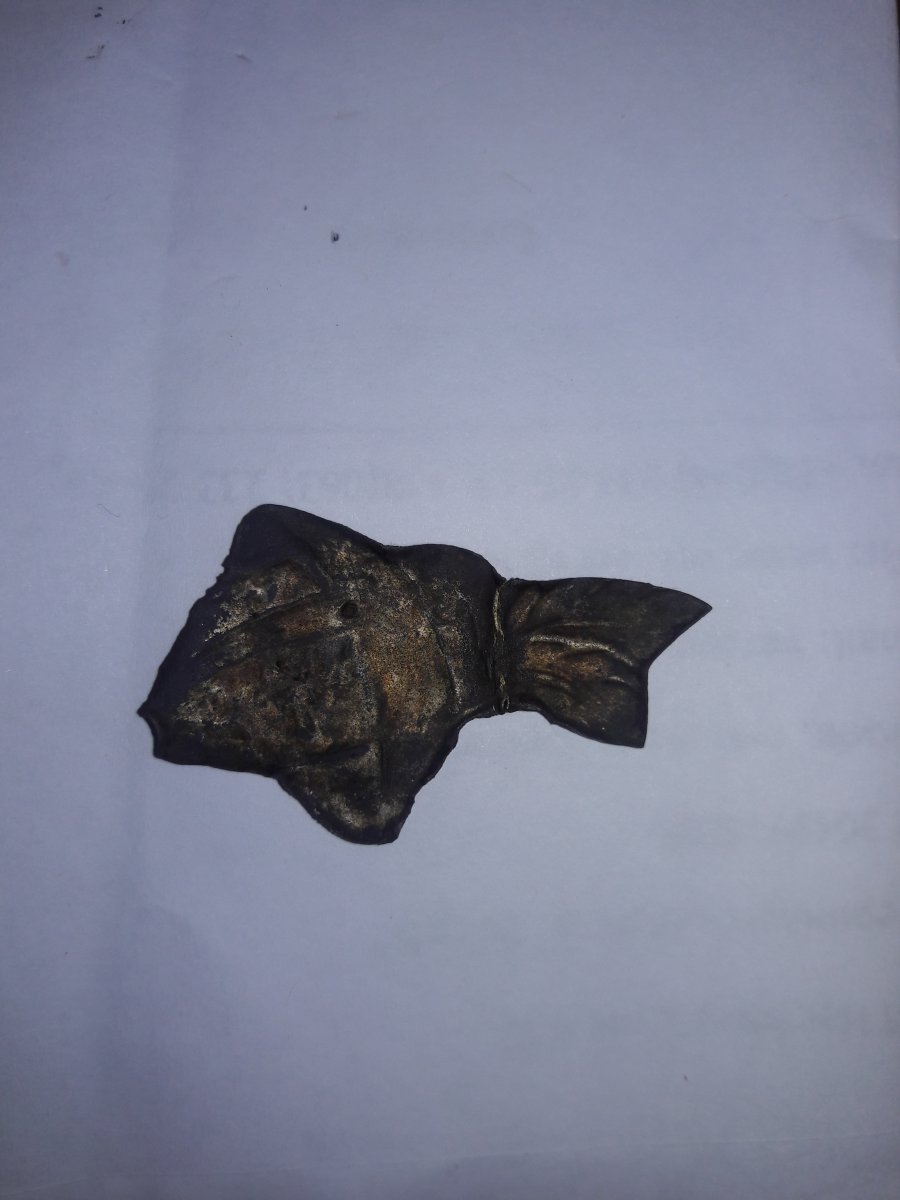 20170712_154323.jpg