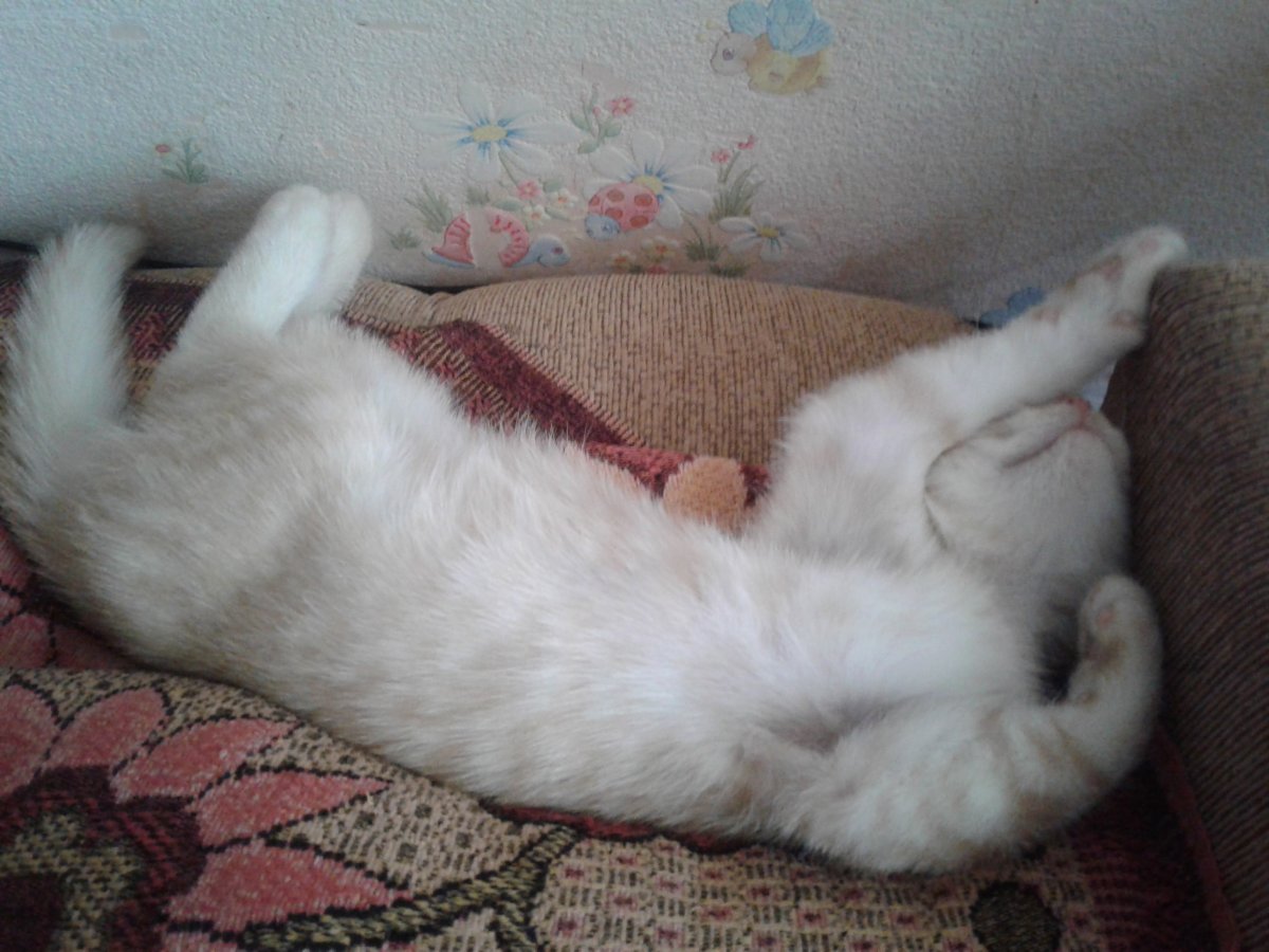 20170802_145914.jpg