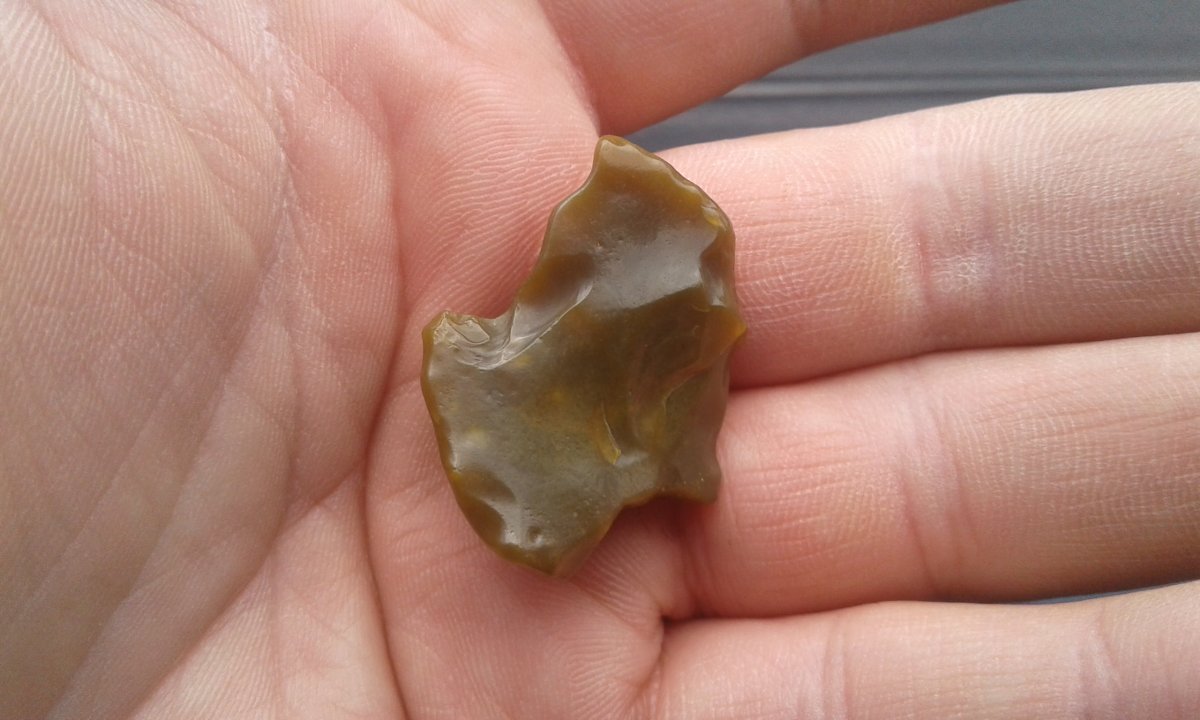 20170824_111702.jpg