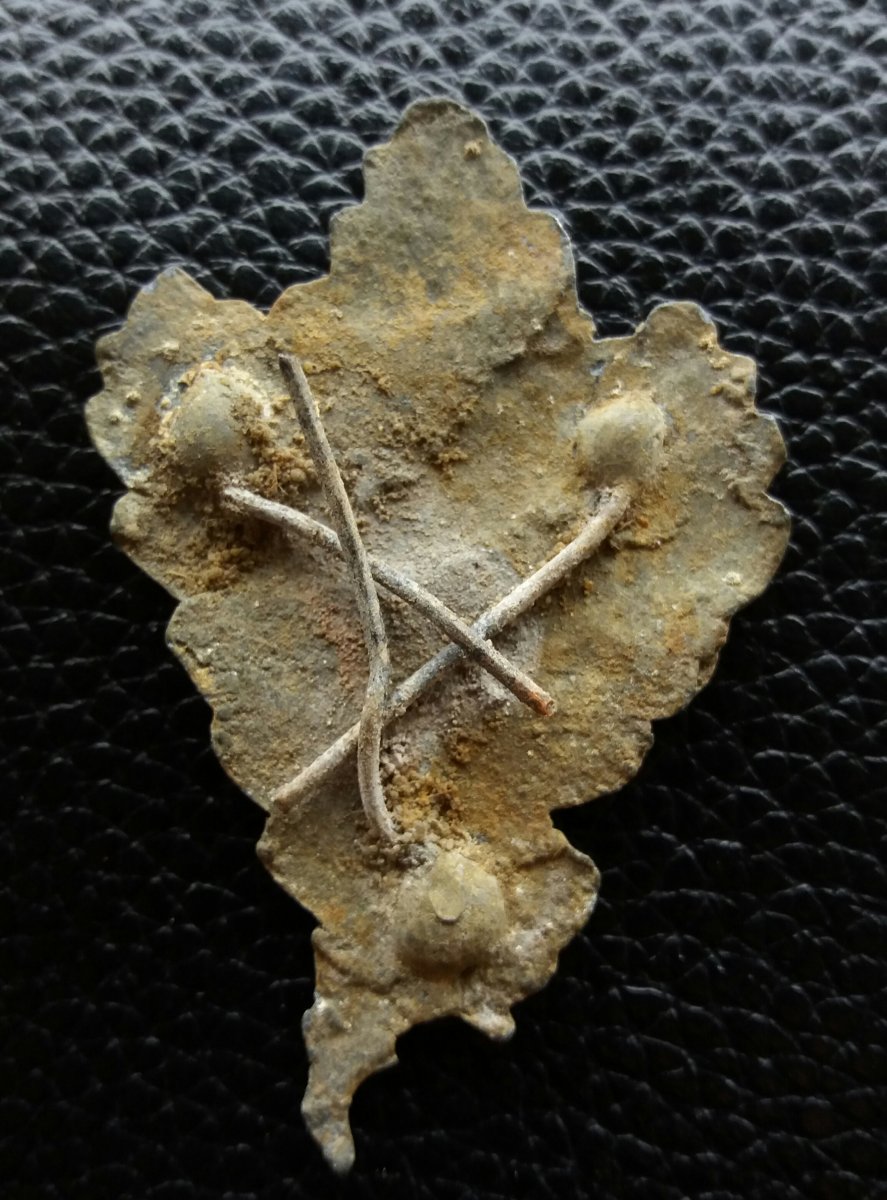 20171027_174336.jpg