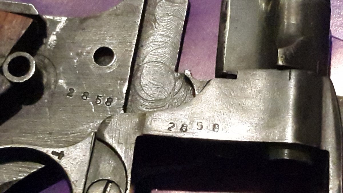 20171126_001814.jpg