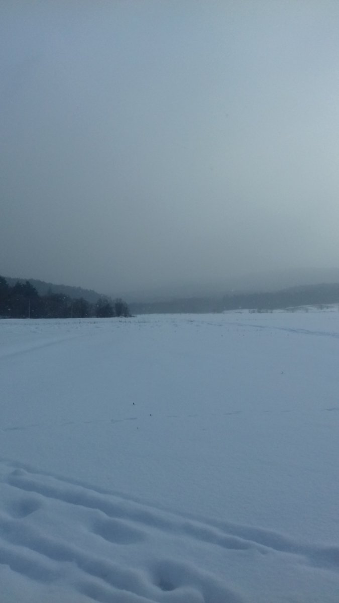 20180225_142138.jpg