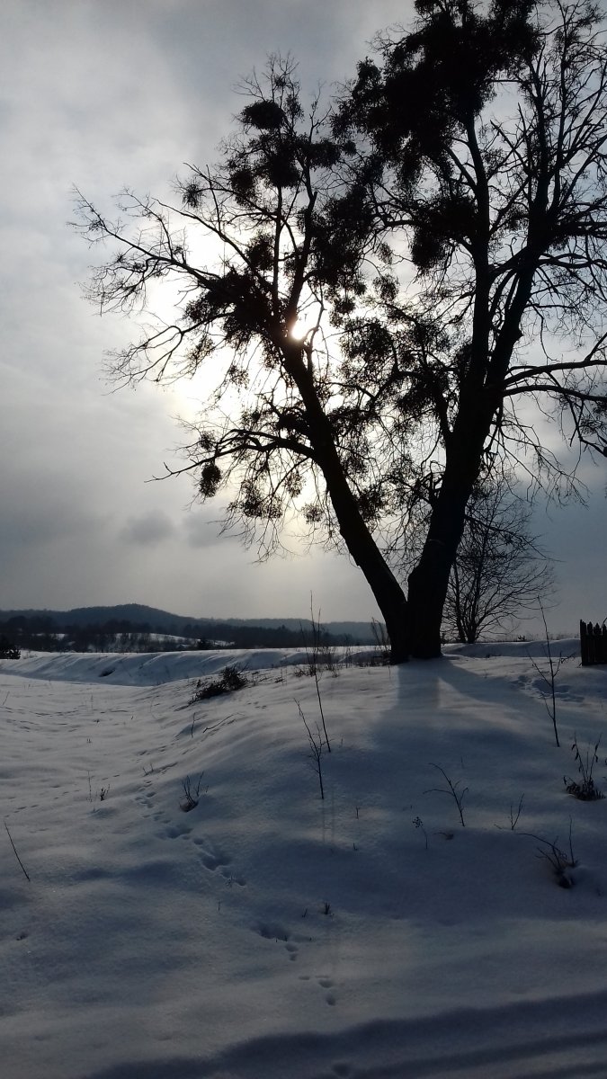 20180225_152426.jpg
