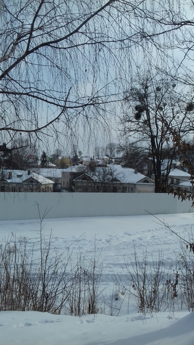 20180228_151110.jpg