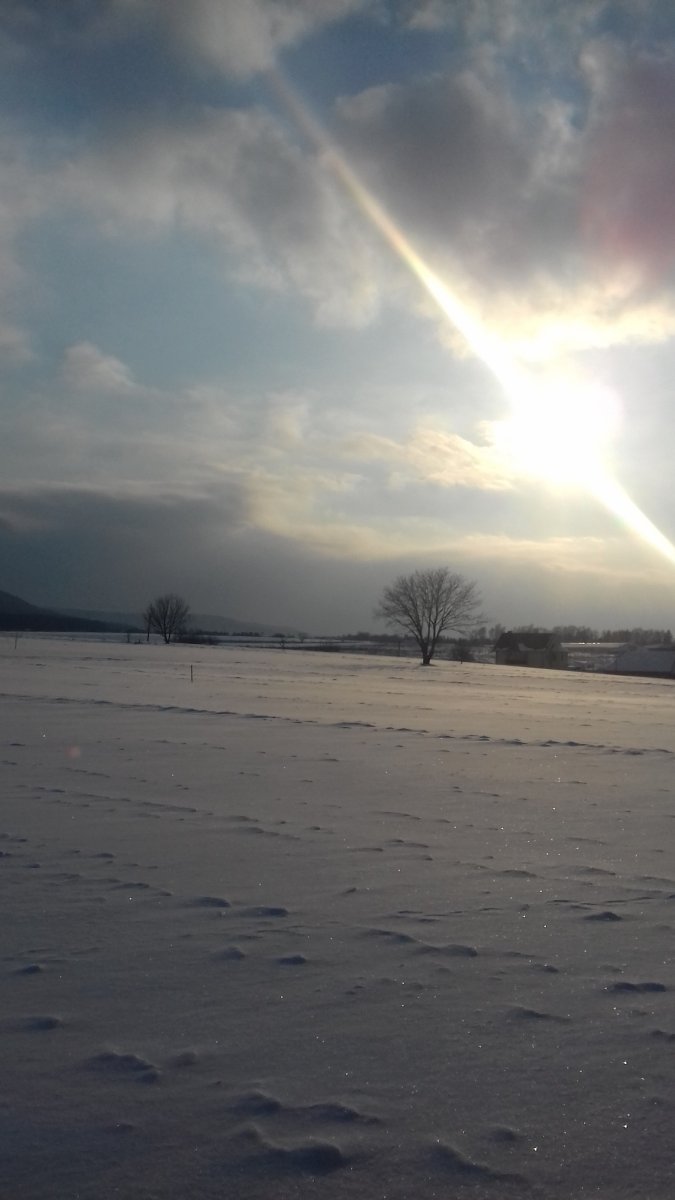 20180303_164152.jpg