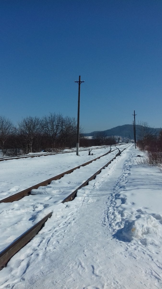 20180305_124938.jpg