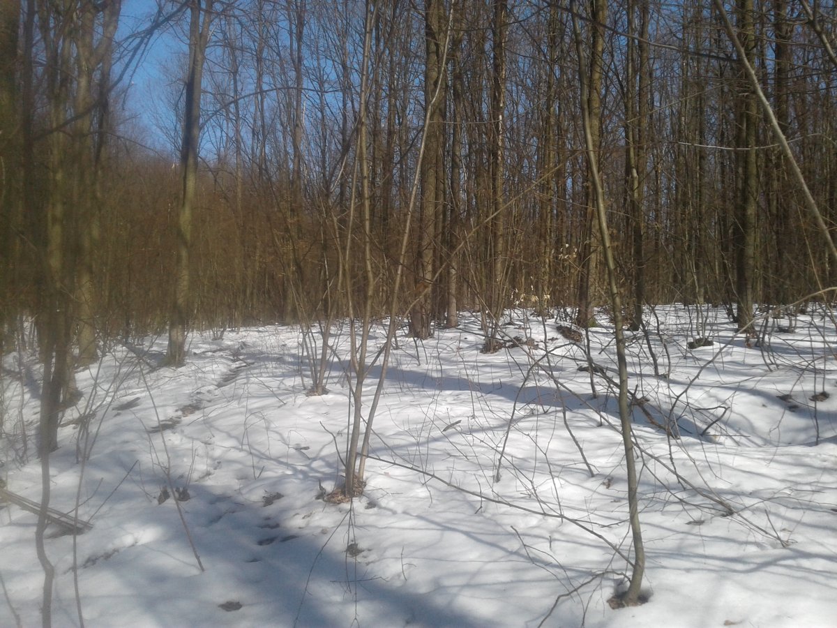 20180309_120702.jpg