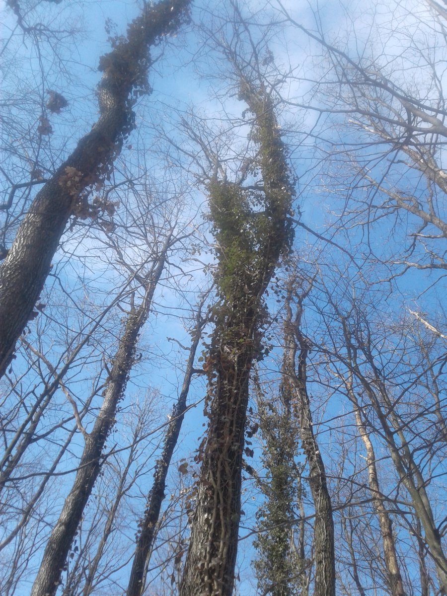 20180309_125902.jpg